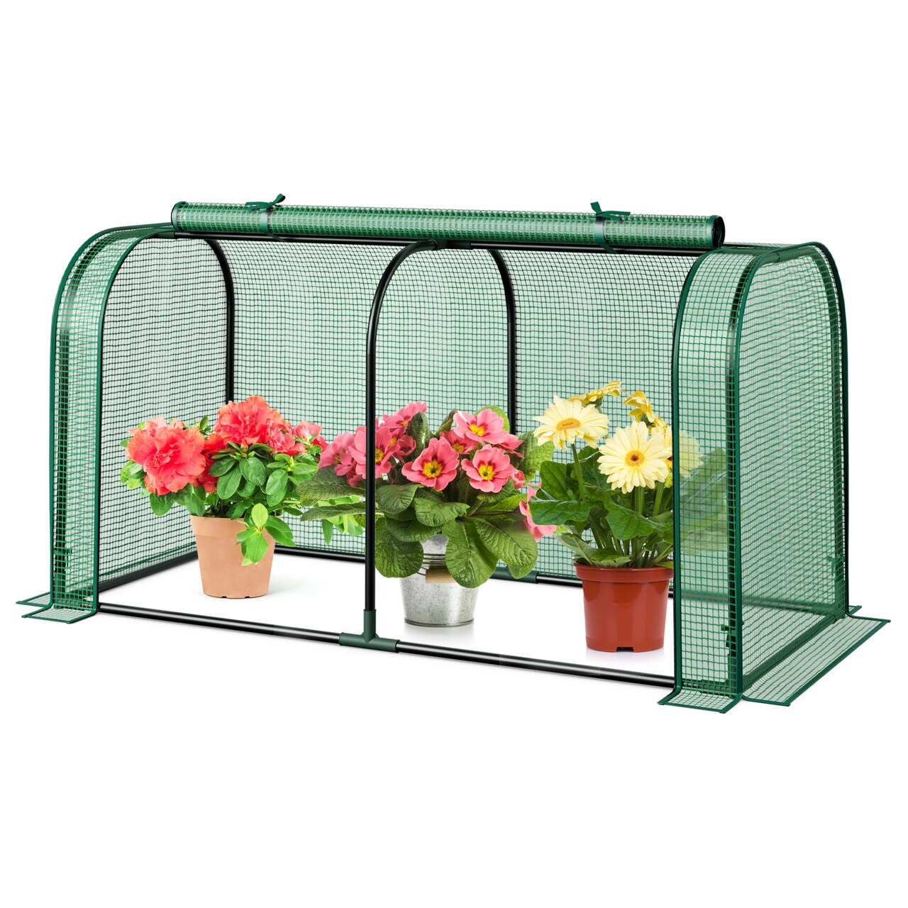 PE Metal Mini Tunnel Greenhouse with Roll-Up Door and Windproof Stakes